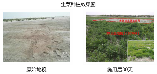 生態(tài)種植效果圖.png